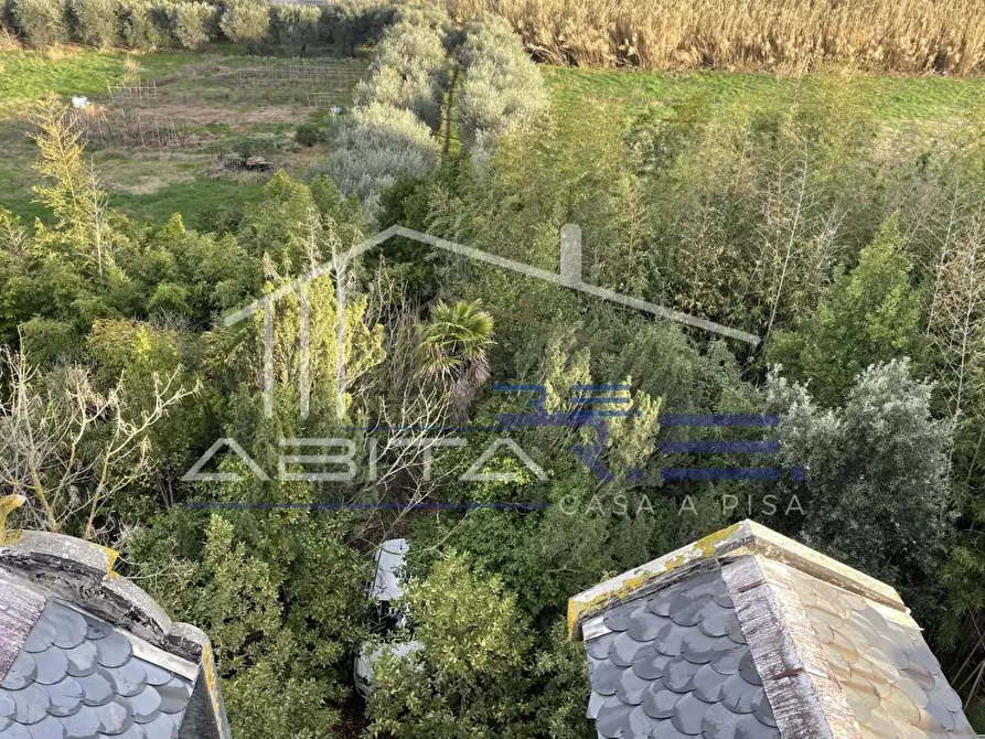 Immagine 11 di Villa in vendita  a Cascina