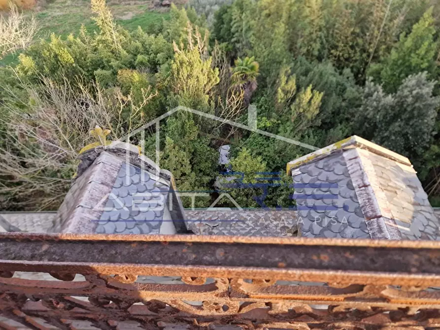Immagine 5 di Villa in vendita  a Cascina