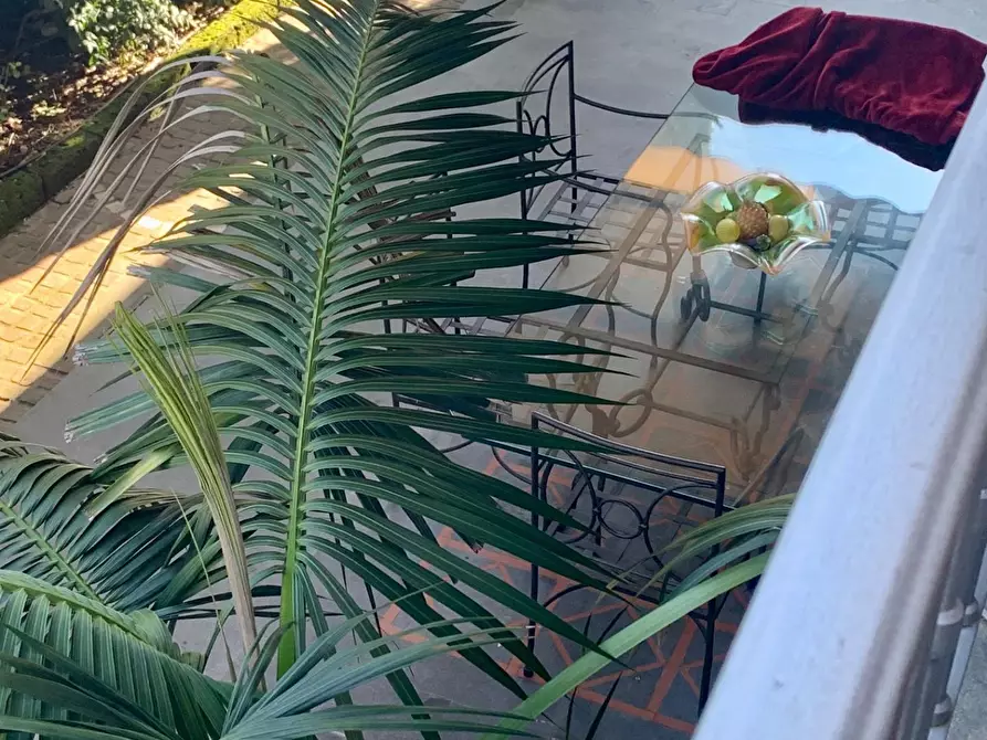 Immagine 24 di Villa in affitto  a Forte Dei Marmi