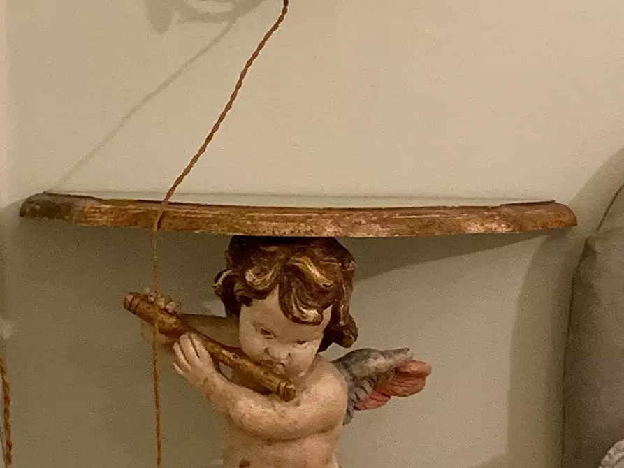 Immagine 25 di Villa in affitto  a Forte Dei Marmi