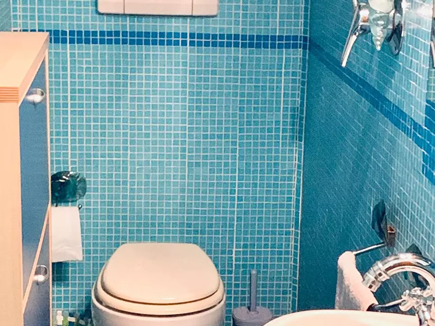 Immagine 22 di Villa in affitto  a Forte Dei Marmi