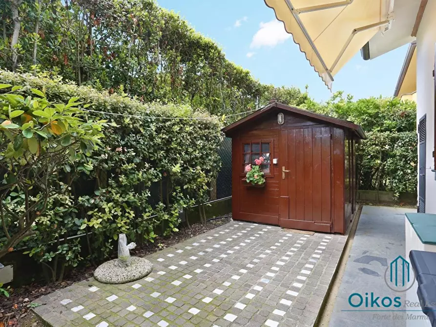 Immagine 20 di Villa in affitto  a Forte Dei Marmi