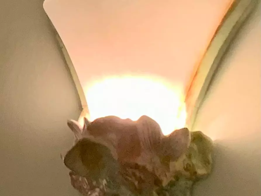 Immagine 23 di Villa in affitto  a Forte Dei Marmi