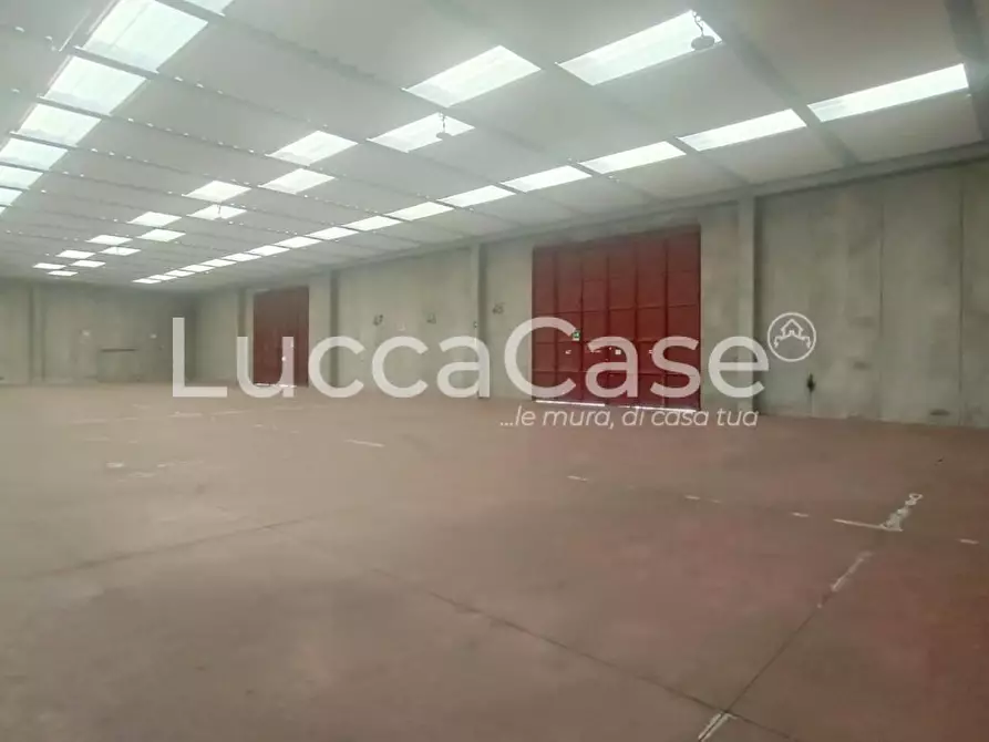 Immagine 4 di Capannone industriale in affitto  a Capannori