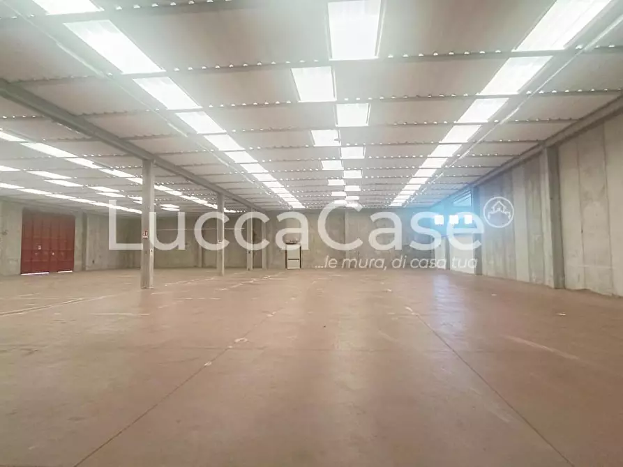 Immagine 7 di Capannone industriale in affitto  a Capannori