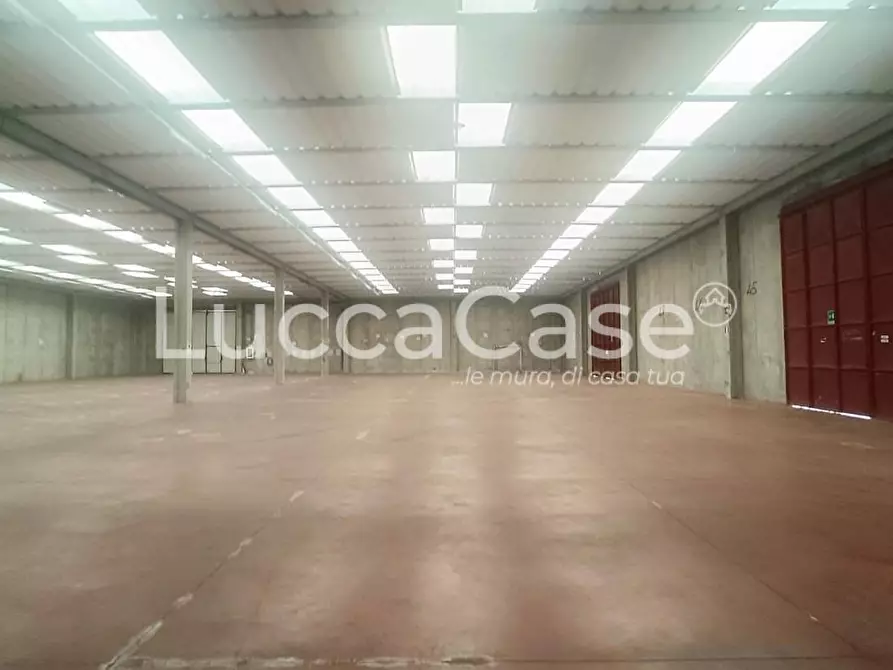 Immagine 3 di Capannone industriale in affitto  a Capannori