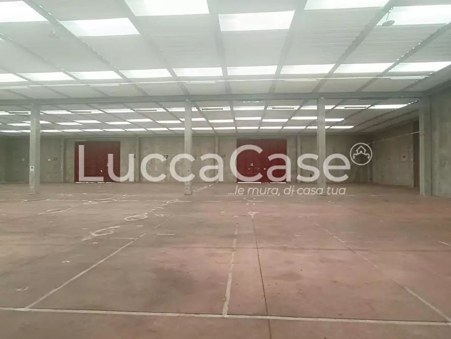 Immagine 5 di Capannone industriale in affitto  a Capannori