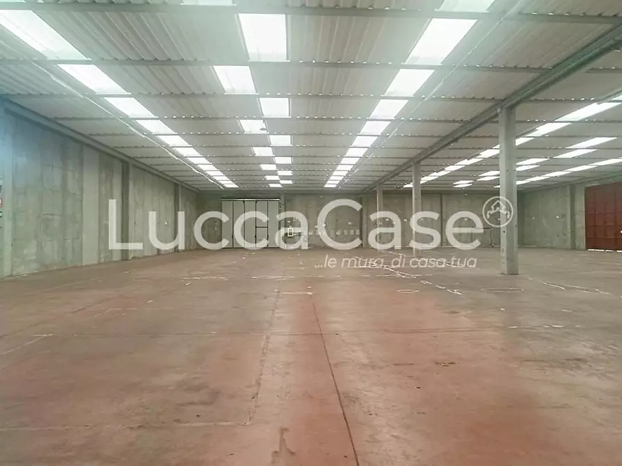 Immagine 2 di Capannone industriale in affitto  a Capannori