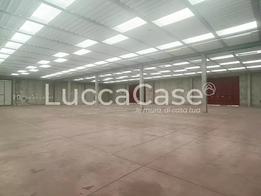 Immagine 1 di Capannone industriale in affitto  a Capannori