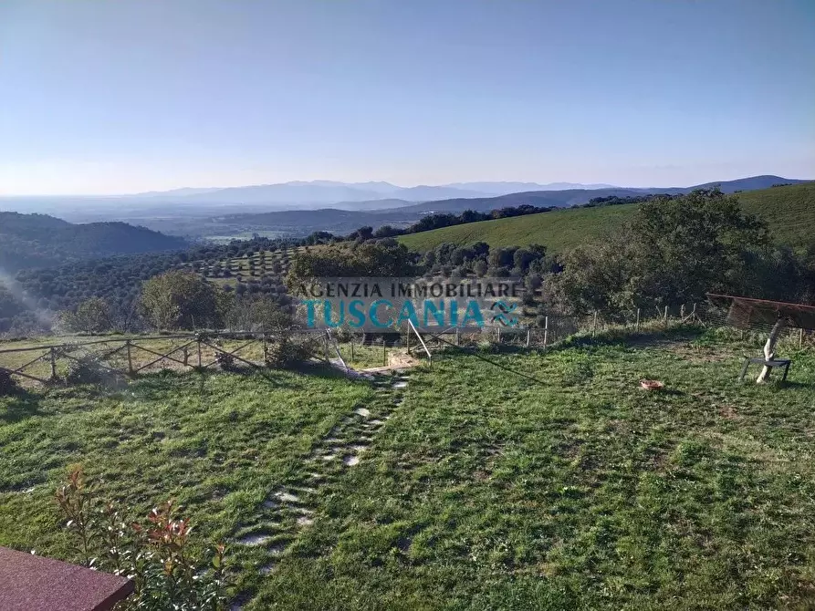 Immagine 2 di Terreno agricolo in vendita  a Campagnatico