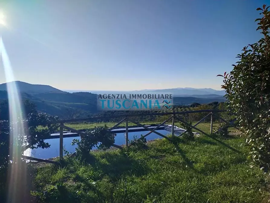 Immagine 1 di Terreno agricolo in vendita  a Campagnatico