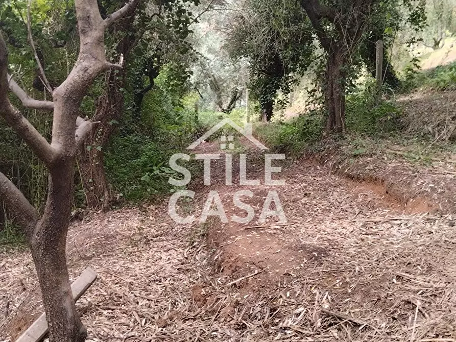 Immagine 53 di Casa colonica in vendita  a Capannori