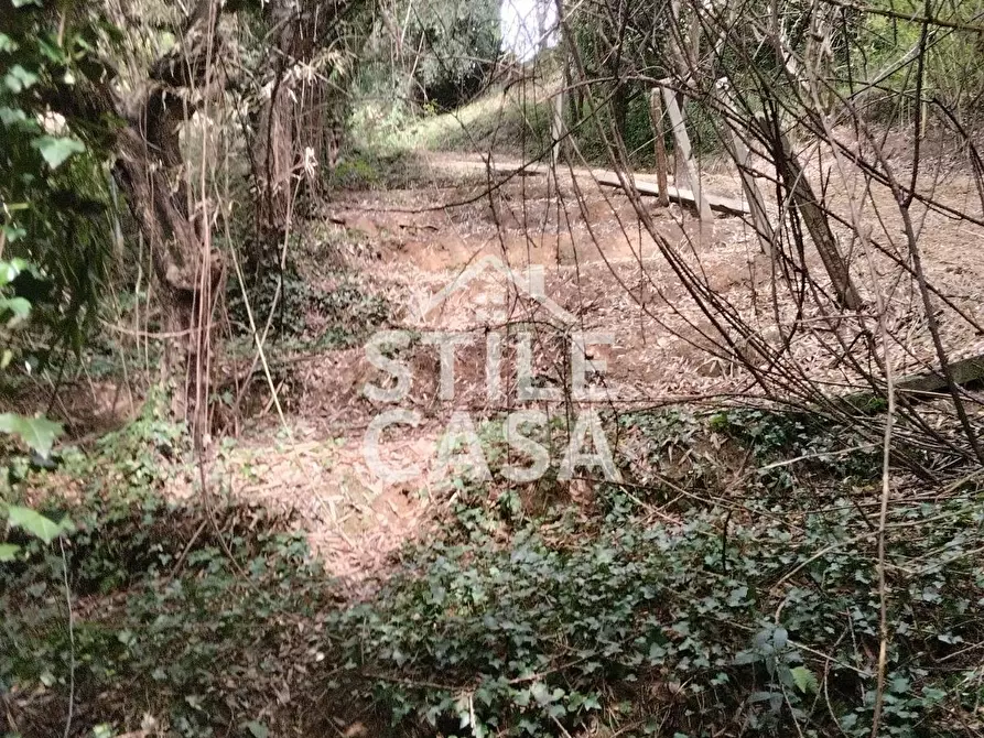 Immagine 51 di Casa colonica in vendita  a Capannori