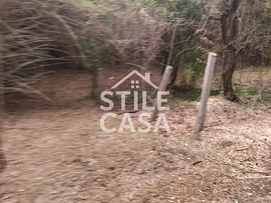 Immagine 54 di Casa colonica in vendita  a Capannori