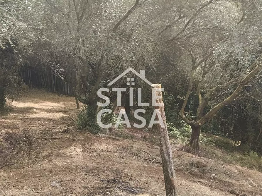 Immagine 57 di Casa colonica in vendita  a Capannori