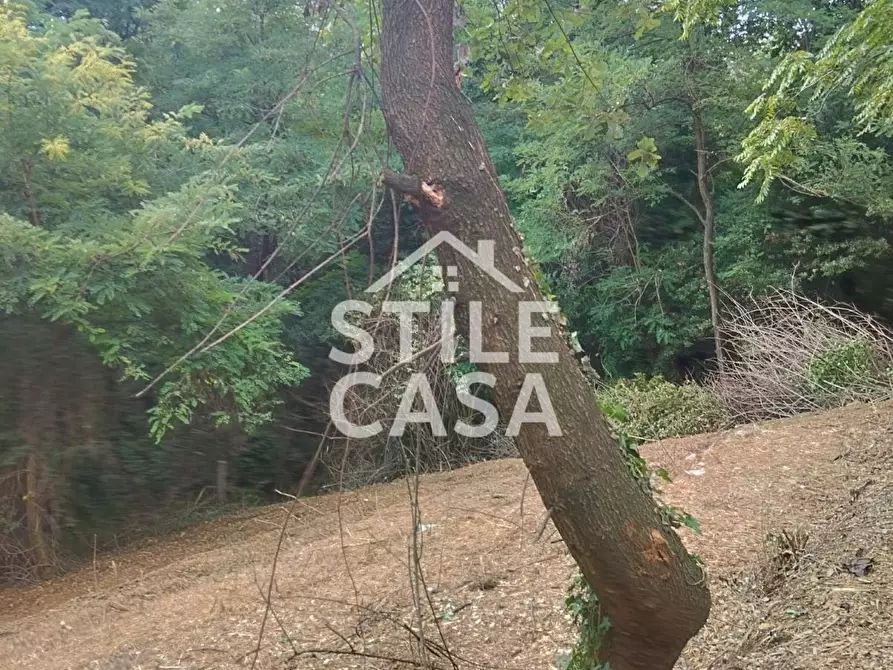 Immagine 60 di Casa colonica in vendita  a Capannori