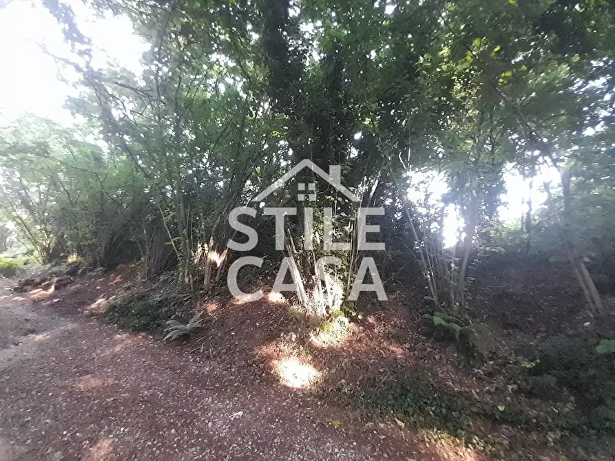 Immagine 41 di Casa colonica in vendita  a Capannori