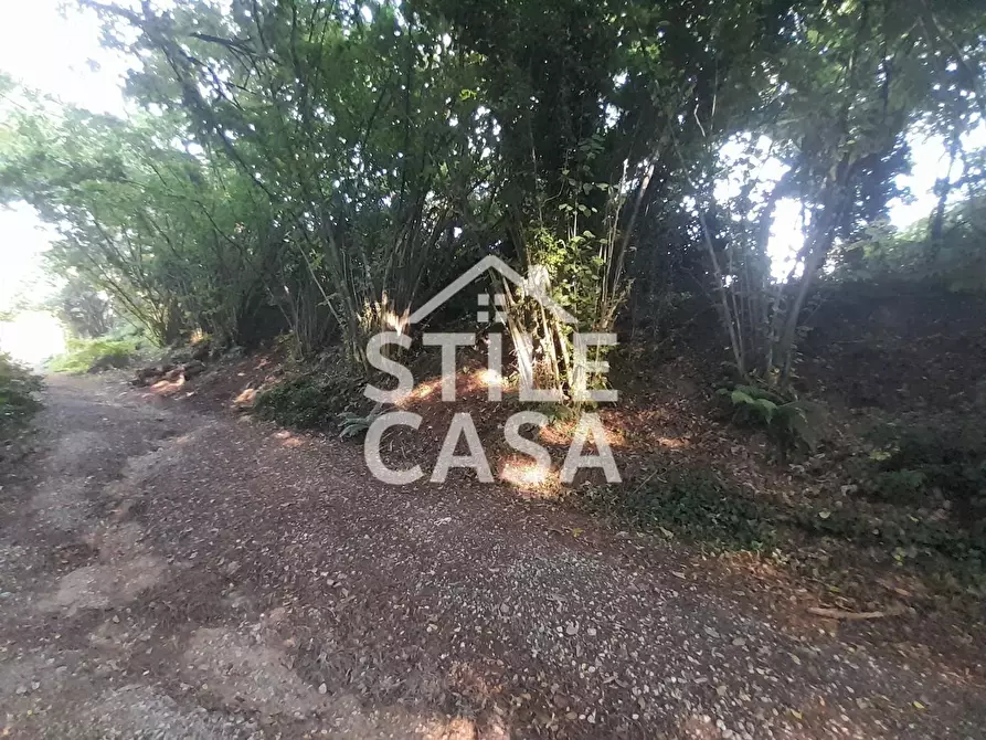 Immagine 40 di Casa colonica in vendita  a Capannori