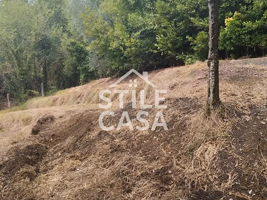 Immagine 55 di Casa colonica in vendita  a Capannori