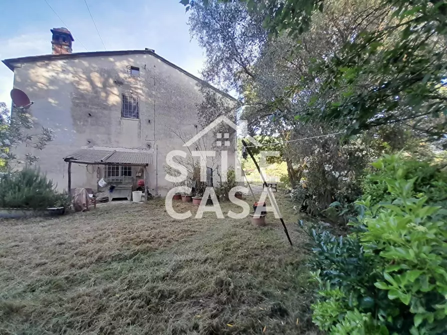 Immagine 45 di Casa colonica in vendita  a Capannori