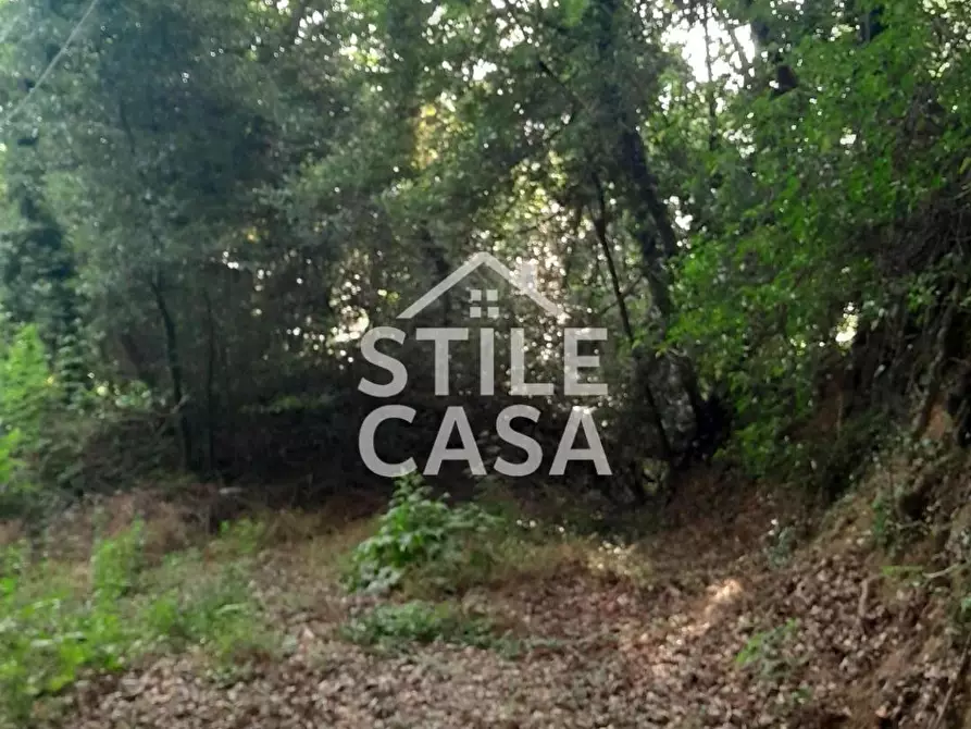 Immagine 39 di Casa colonica in vendita  a Capannori