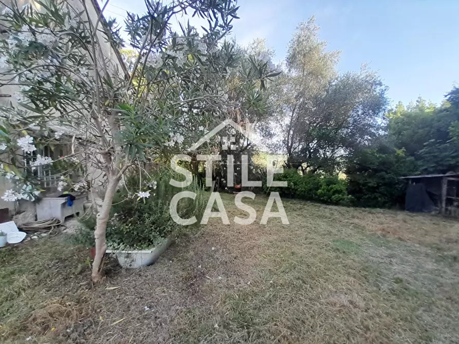 Immagine 42 di Casa colonica in vendita  a Capannori