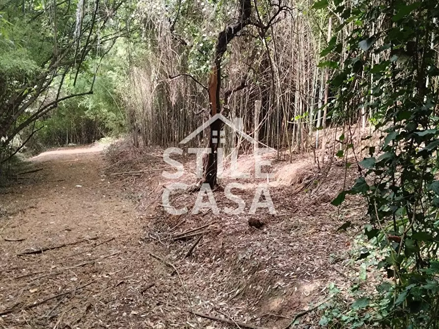 Immagine 50 di Casa colonica in vendita  a Capannori