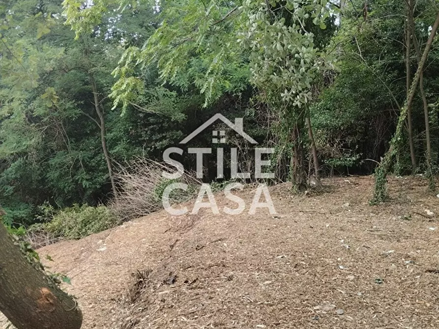 Immagine 58 di Casa colonica in vendita  a Capannori