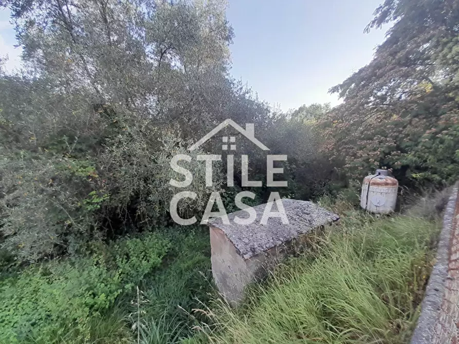 Immagine 46 di Casa colonica in vendita  a Capannori