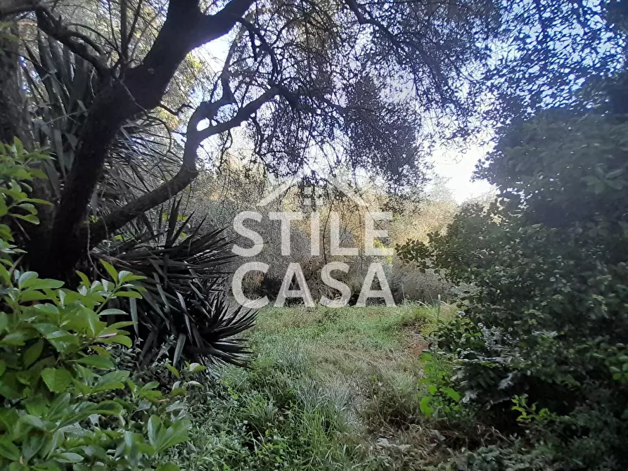 Immagine 43 di Casa colonica in vendita  a Capannori