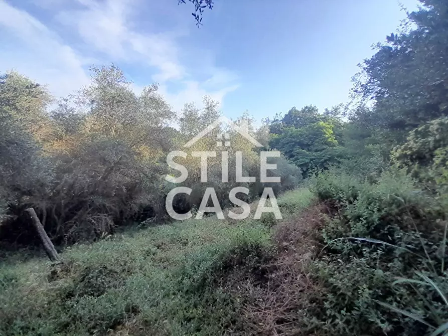 Immagine 44 di Casa colonica in vendita  a Capannori