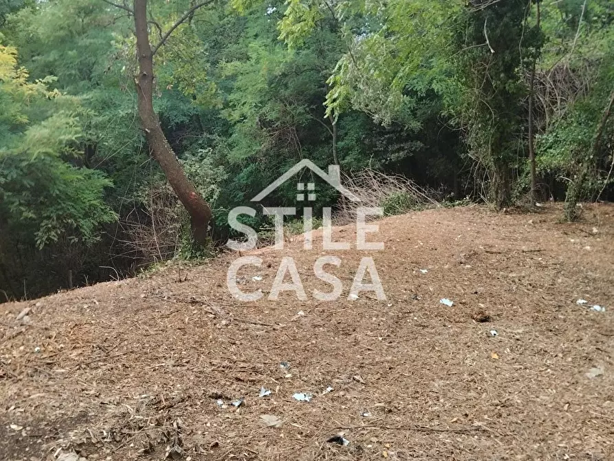 Immagine 59 di Casa colonica in vendita  a Capannori