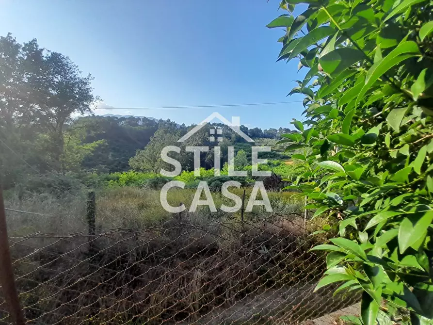 Immagine 48 di Casa colonica in vendita  a Capannori