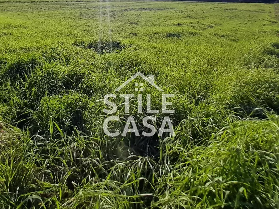 Immagine 1 di Terreno residenziale in vendita  a Porcari