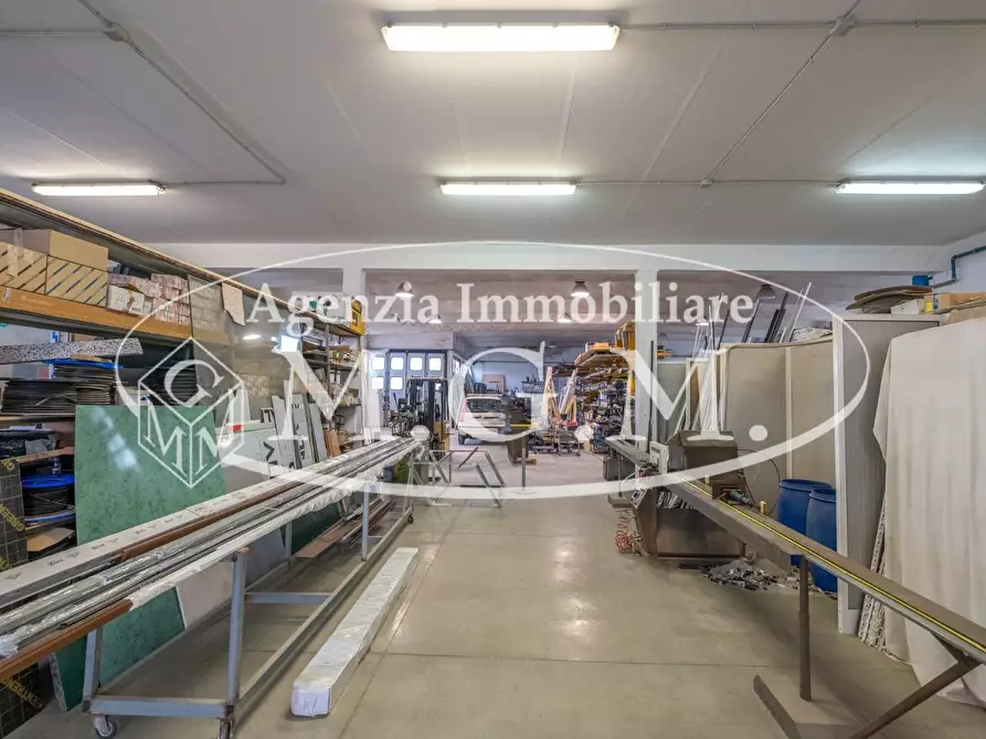 Immagine 23 di Attività artigianale in vendita  a Bientina