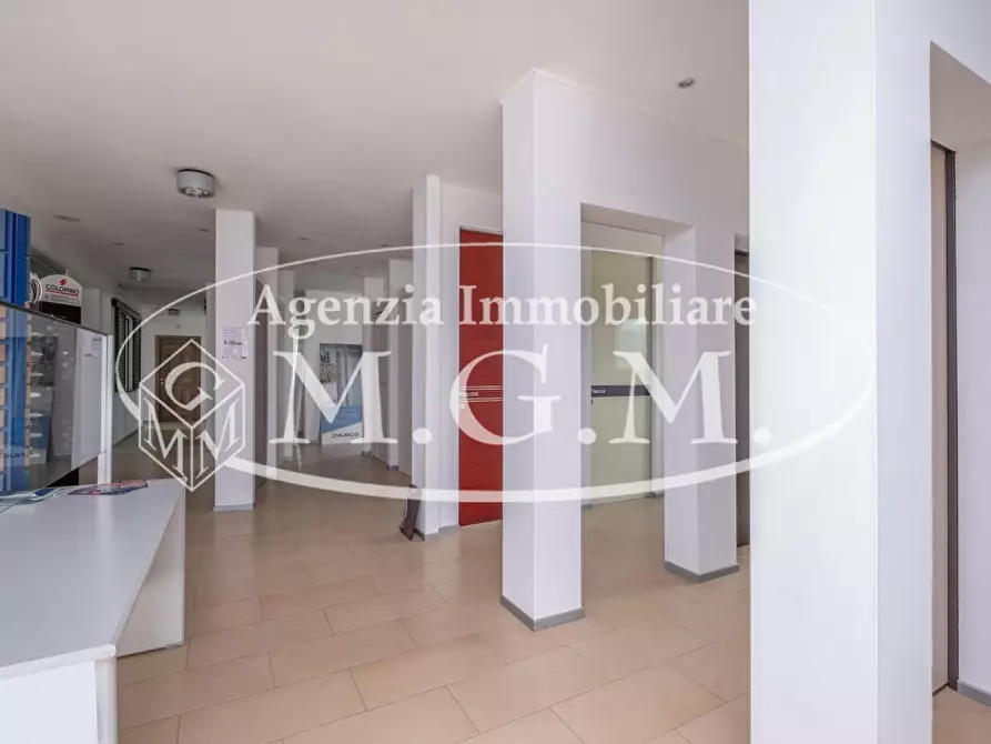 Immagine 15 di Attività artigianale in vendita  a Bientina