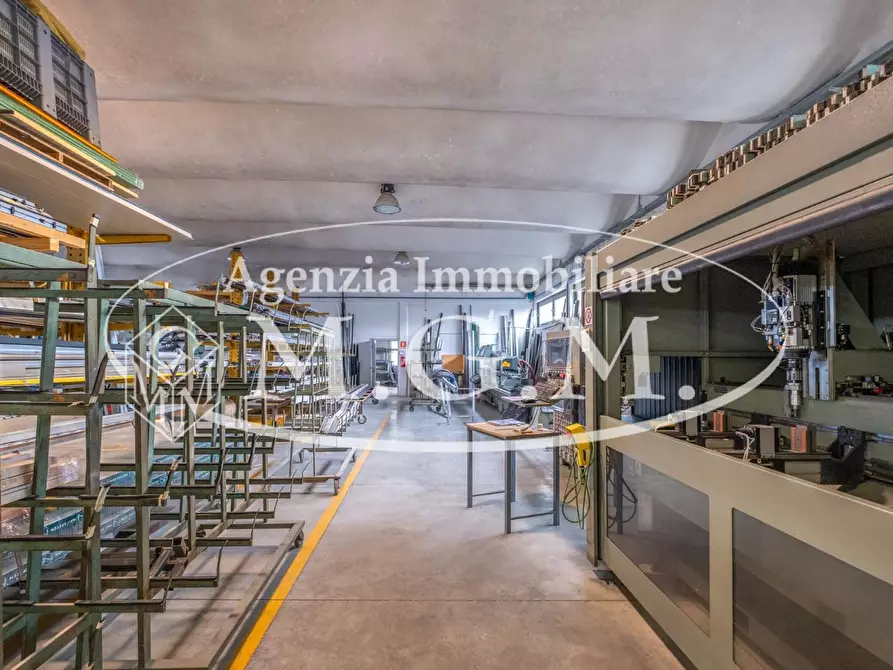 Immagine 25 di Attività artigianale in vendita  a Bientina