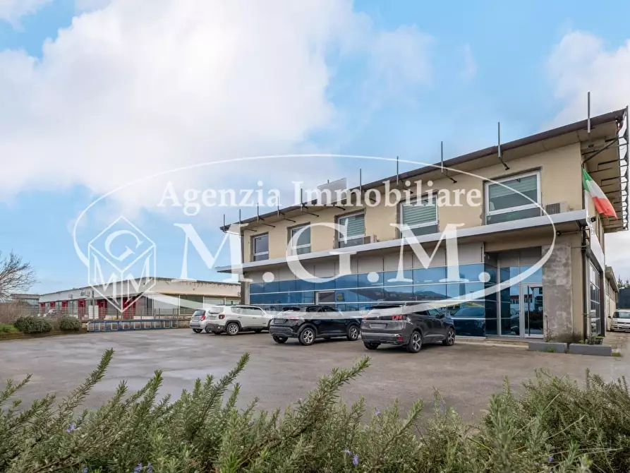 Immagine 11 di Attività artigianale in vendita  a Bientina