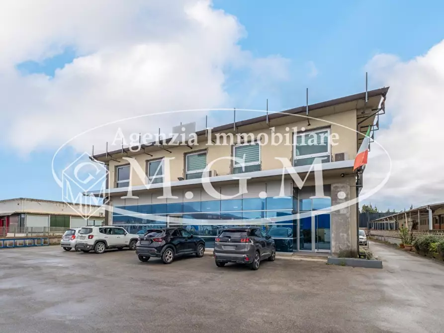 Immagine 10 di Attività artigianale in vendita  a Bientina