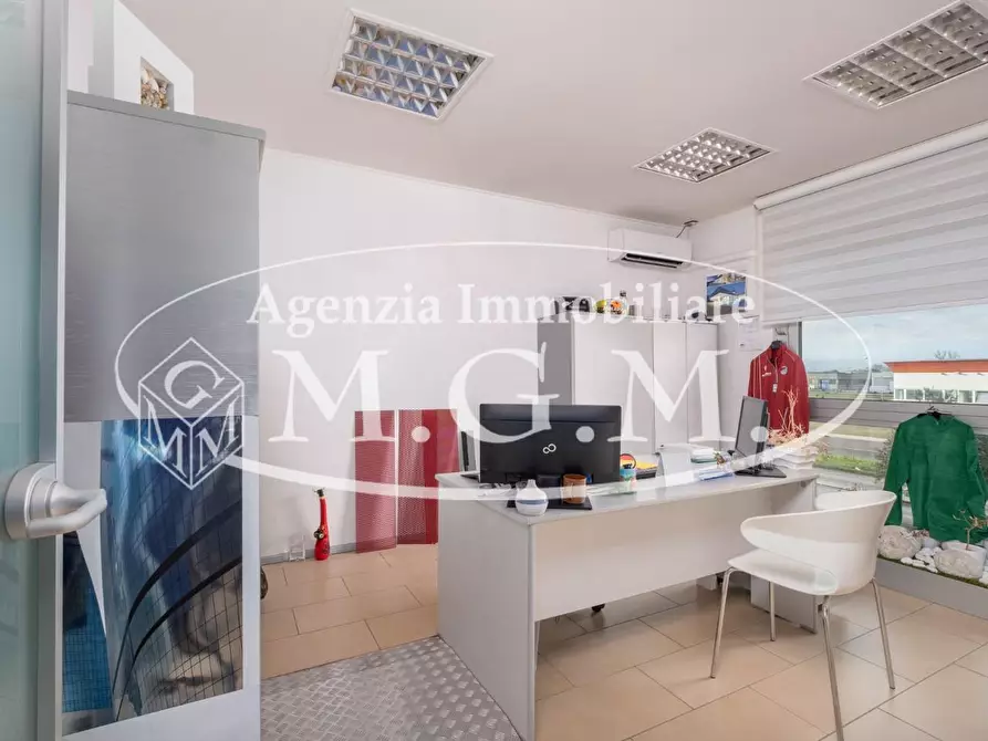 Immagine 21 di Attività artigianale in vendita  a Bientina