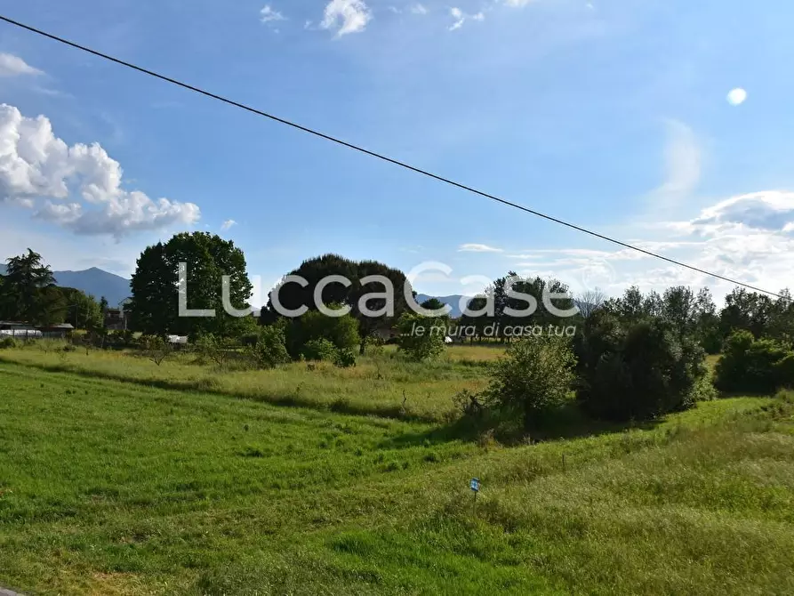 Immagine 19 di Casa colonica in vendita  a Capannori