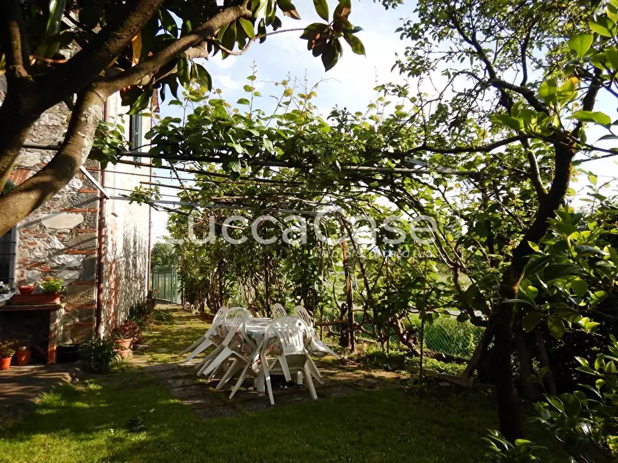 Immagine 26 di Casa colonica in vendita  a Capannori