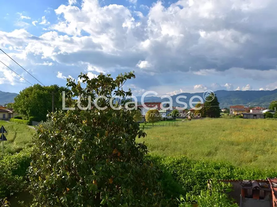 Immagine 24 di Casa colonica in vendita  a Capannori