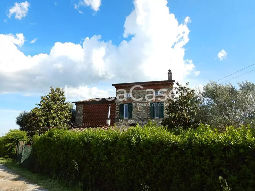 Immagine 33 di Casa colonica in vendita  a Capannori