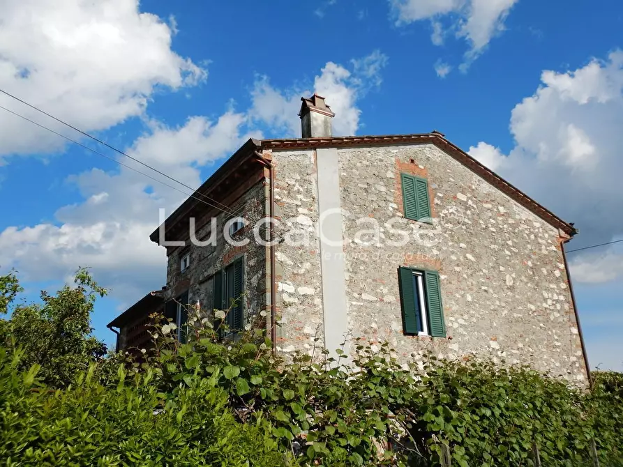 Immagine 31 di Casa colonica in vendita  a Capannori