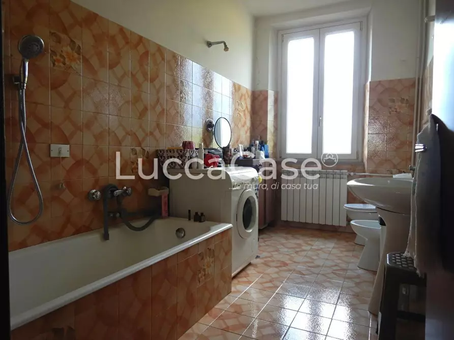 Immagine 23 di Casa colonica in vendita  a Capannori