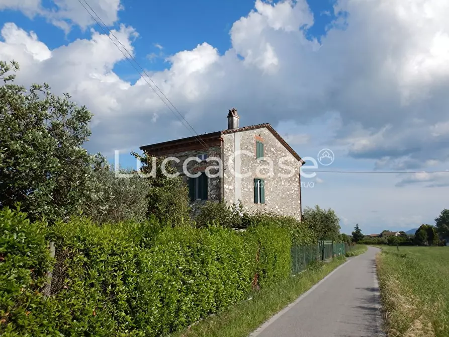 Immagine 32 di Casa colonica in vendita  a Capannori