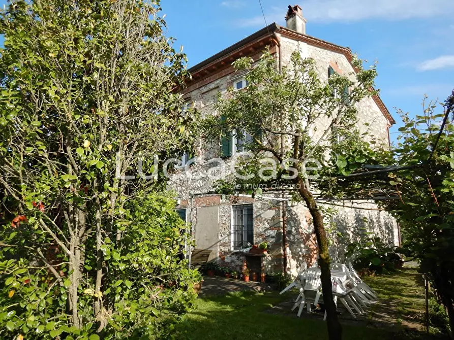 Immagine 1 di Casa colonica in vendita  a Capannori