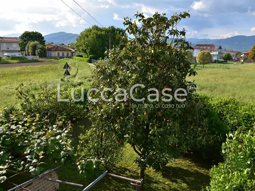 Immagine 27 di Casa colonica in vendita  a Capannori