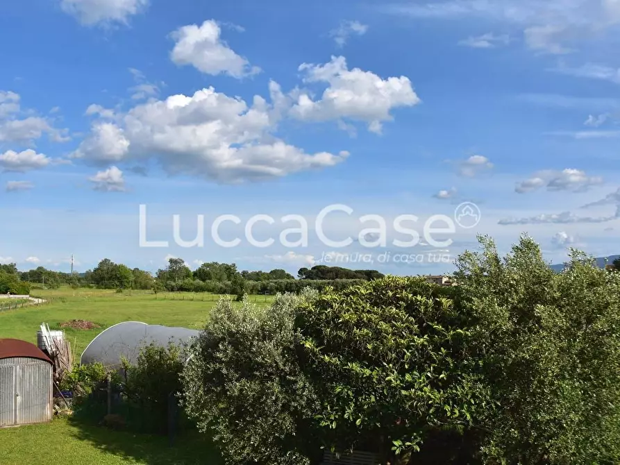 Immagine 22 di Casa colonica in vendita  a Capannori